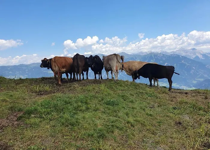 Viva Bed and breakfast Urmein