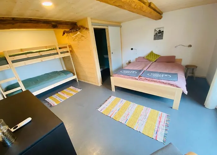 Bed and breakfast Viva 3*