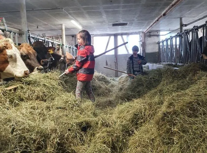 Alojamento de Acomodação e Pequeno-almoço Viva Urmein