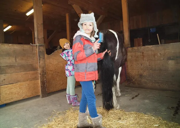 Alojamento de Acomodação e Pequeno-almoço Viva