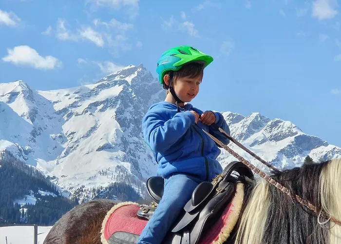 Viva Alojamento de Acomodação e Pequeno-almoço