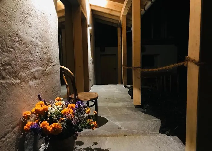 Viva Bed & Breakfast