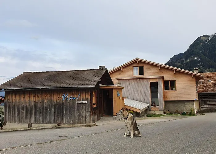 Bed & Breakfast Viva 3*