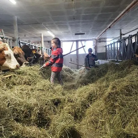 Bed & Breakfast Viva Urmein