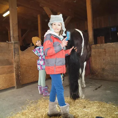 Bed & Breakfast Viva